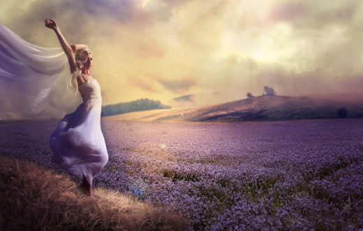 896279 (a): :2500x1592